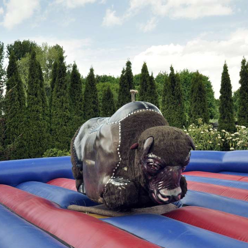 Rodeo býk - zábavná atrakce pro dospělé na firemní akce a slavnosti